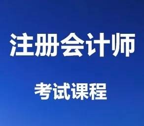 注册会计师（CPA）核心业务全解析 从理论到实操的职业进阶指南